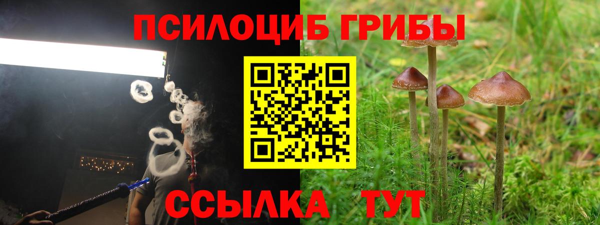 Псилоцибиновые грибы ЛСД Красногорск
